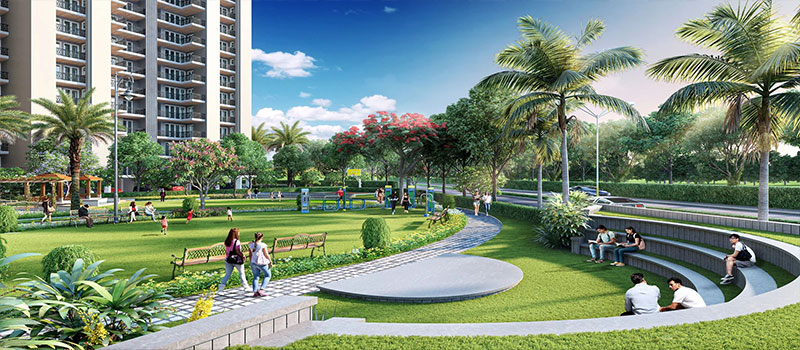 SBP Montefiore