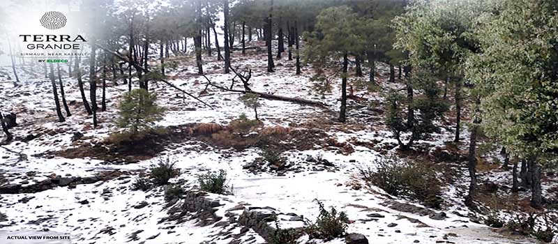 Eldeco Terra Grande